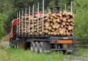 Rhu residents have raised concern at the prospect of timber transport HGVs returning to the narrow roads of the village
