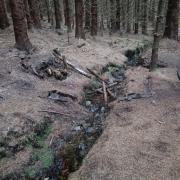 Vandals target Highlandman's Wood mountain biking trails