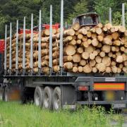 Rhu residents have raised concern at the prospect of timber transport HGVs returning to the narrow roads of the village