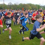 Pupils from Helensburgh and Lomond's primary schools raced for cross-country honours at Ardencaple