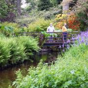 Locals can take in the relaxing environment of the garden