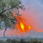 Wildfires in Rhodes have forced mass evacuations of visitors and residents - but will they persuade climate change deniers to alter course? (Image: Sarah George/PA)
