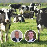 Mark Irvine, inset left, was accused of being 'woke' by opposition councillor Alastair Redman during a debate on supporting local farmers and other producers