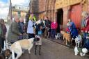 Pets were blessed at St Michael and All Angels