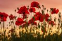 The service will mark Remembrance Sunday and honour local veterans