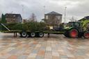 This year's tree was donated by Luss Estates