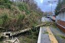 Trees have fallen on the railway line at Arrochar