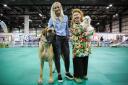 Tyrion the great dane with event director Robin Chalmers, event main stage presenter Libby McArthur and Guy the Maltese terrier at The Dog Lovers Show SEC Glasgow 8-9 September 2018.