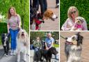 Some of the perfect pooches and their owners captured by our photographer Reiss McGuire at Loch Lomond Shores