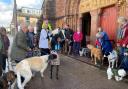 Pets were blessed at St Michael and All Angels