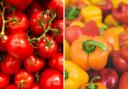 Tomatoes and peppers are among the products affected