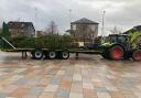 This year's tree was donated by Luss Estates