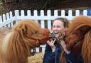 Huggy the therapy pony will pay the event a visit