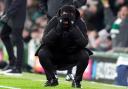 Celtic manager Wilfried Nancy has been sacked after just eight games