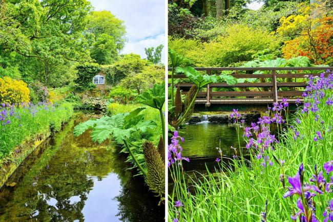 Geilston Garden in Cardross (Pictures: Iain MacVinish)