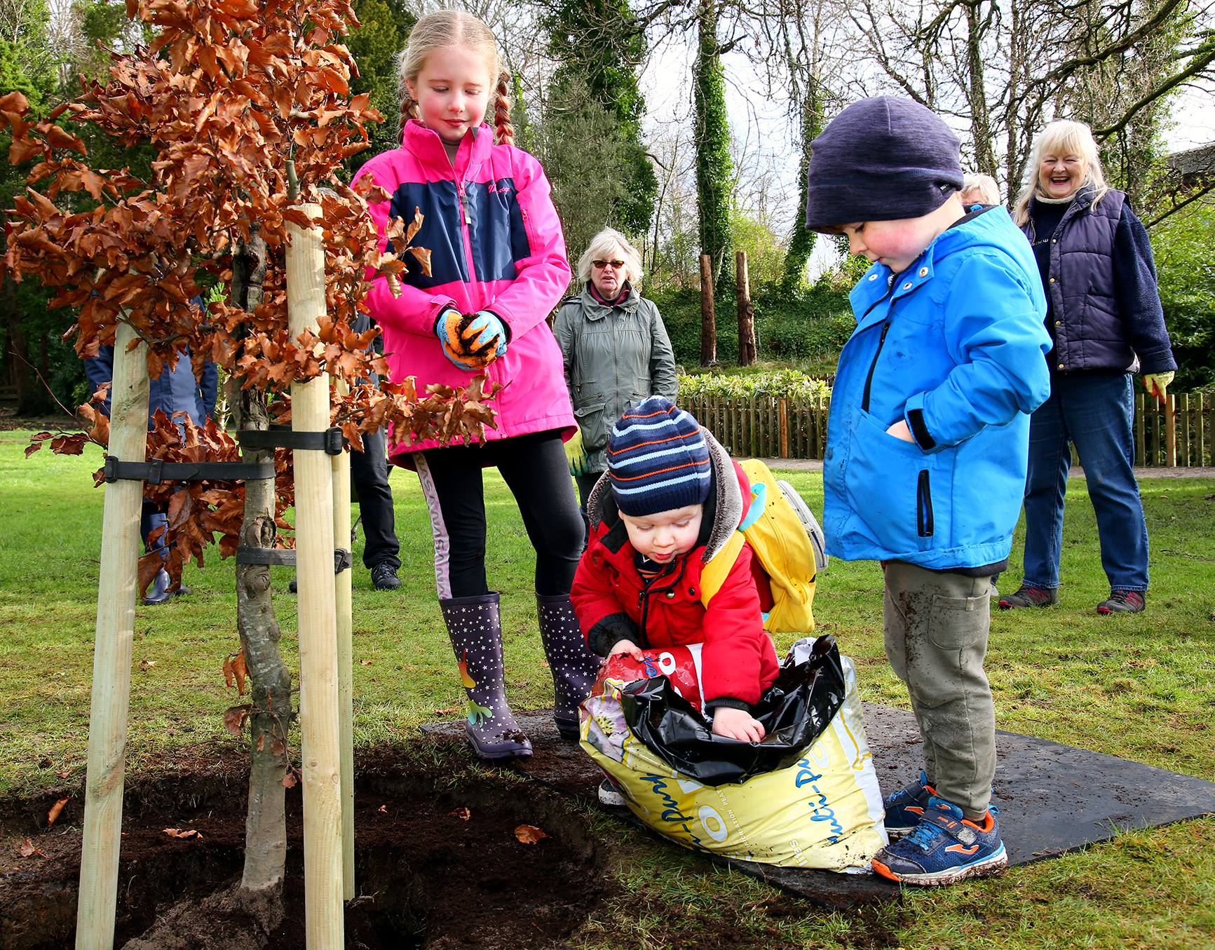 Friends of Hermitage Park planting a copper beech sapling