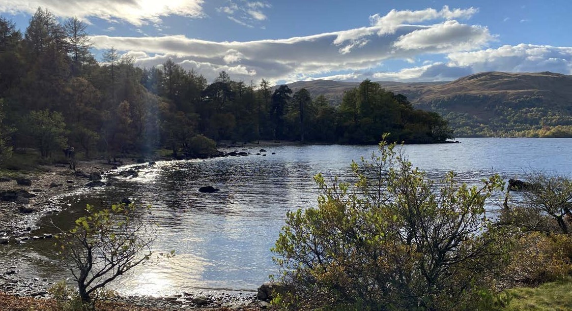 The plans for Inchconnachan, which is home to a colony of wallabies, have attracted qualified support from the Friends of Loch Lomond and the Trossachs