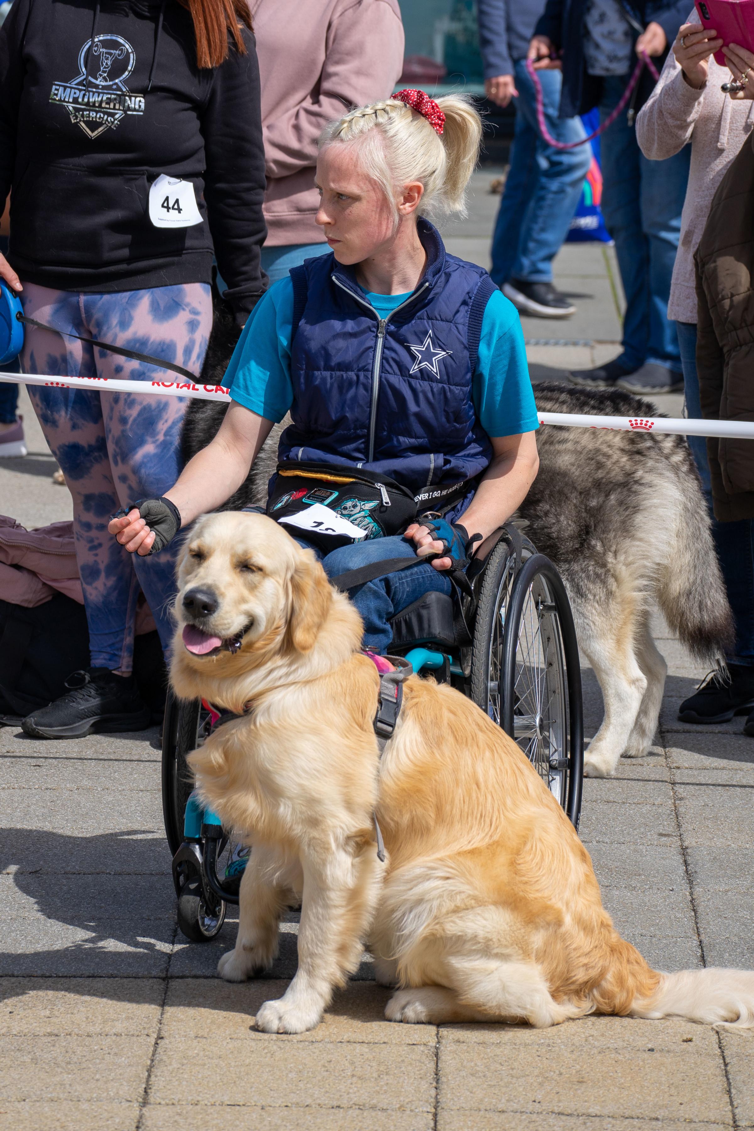 Top dogs from across the west of Scotland took centre stage at Loch Lomond Shores on Saturday