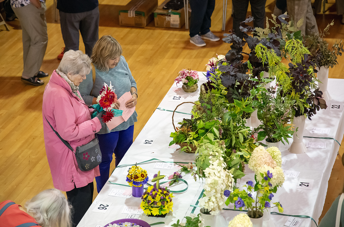 A riot of colour at the Victoria Halls as the fruits (and flowers, and vegetables) of months of hard work in the towns gardens and greenhouses was shown off to the public