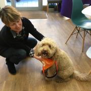 Alzheimer Scotland is looking for volunteer dogs and their humans to lend a hand at its 'Dog Day' sessions in Helensburgh