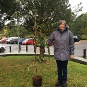 Amanda Reid left a lasting reminder of the event by planting a tree