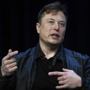 Elon Musk completed his takeover of Twitter this week  (AP Photo/Susan Walsh)