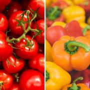 Tomatoes and peppers are among the products affected