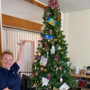 Mel decided that the Helensburgh hospital needed an all-year round tree to decorate