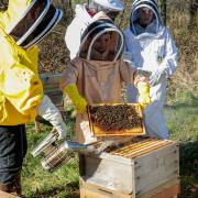 Bee School teams up with honey brand to bring Loch Lomond visitors a sweet experience