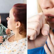 Whooping cough (pertussis), also known as the 100-day cough, is a bacterial infection of the lungs and breathing tubes, according to the National Health Service ( NHS).