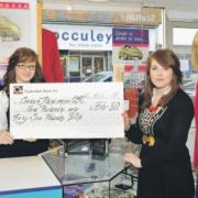 Two school pupils raised nearly £1k for a cancer charity