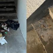 The stairwells have been cluttered with litter
