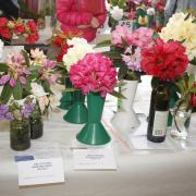 The Scottish Rhododendron Society's annual show and exhibition returns to the Gibson Hall in Garelochhead on April 27