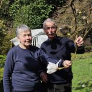 Sue and Mike have owned Glenarn Gardens since 1983