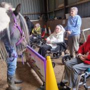 Residents had a great time with the ponies