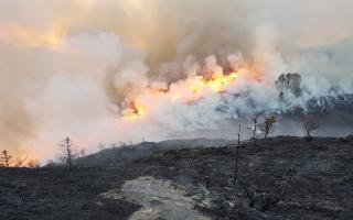Wildfire stats show almost one a day during peak season last year
